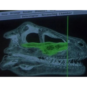 OPLE Props Jurassic Park 3 Velociraptor Resonanz Kammer Replik 1:1 Raptor Resonanz-Kammer Dinosaurier Velociraptor Prop Alan Gra